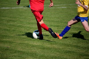 开云电竞官网入口-世界台球联赛中国队勇夺团体亚军，世界台球联赛中国队勇夺团体亚军是谁