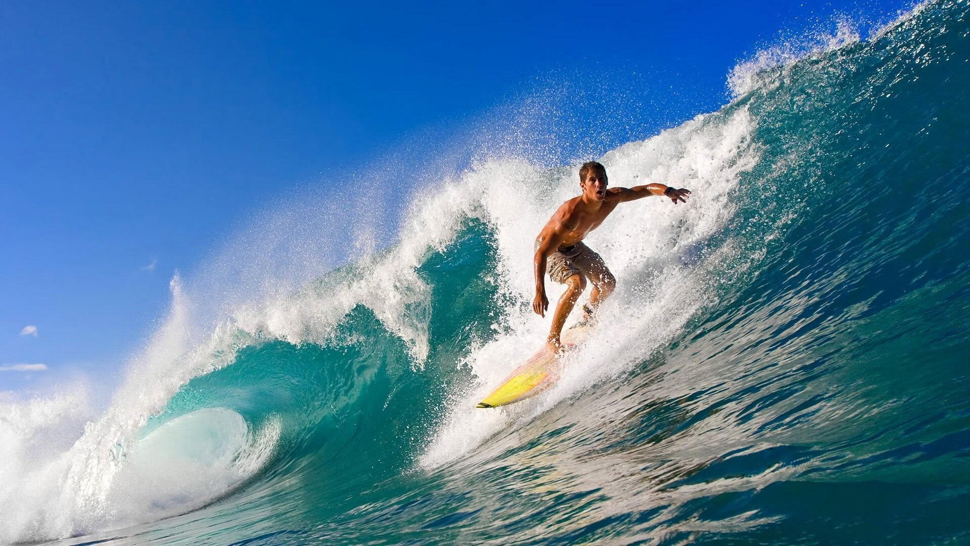 大型赛事志愿者培训体系标准化推进,大型赛会志愿者培训